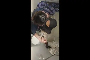 Bokep Indo Skandal Perih Nikmat Ngentot Perawan